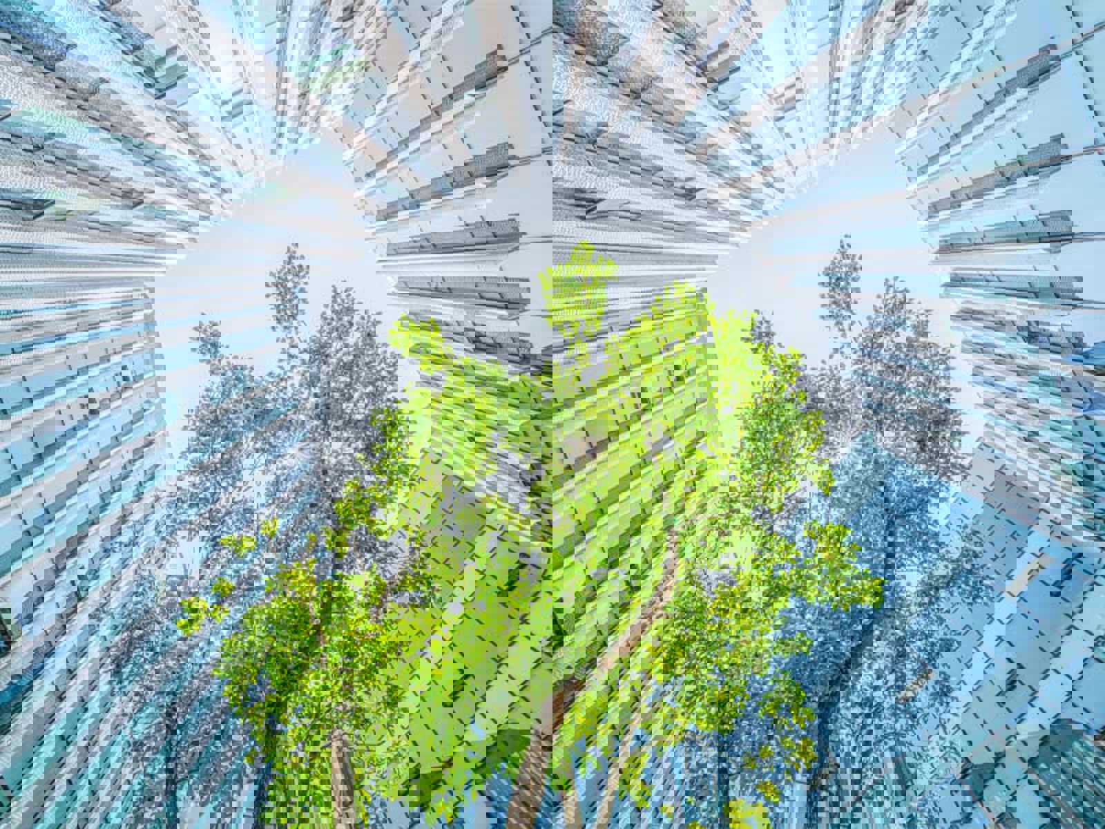 A tree in front of a building.