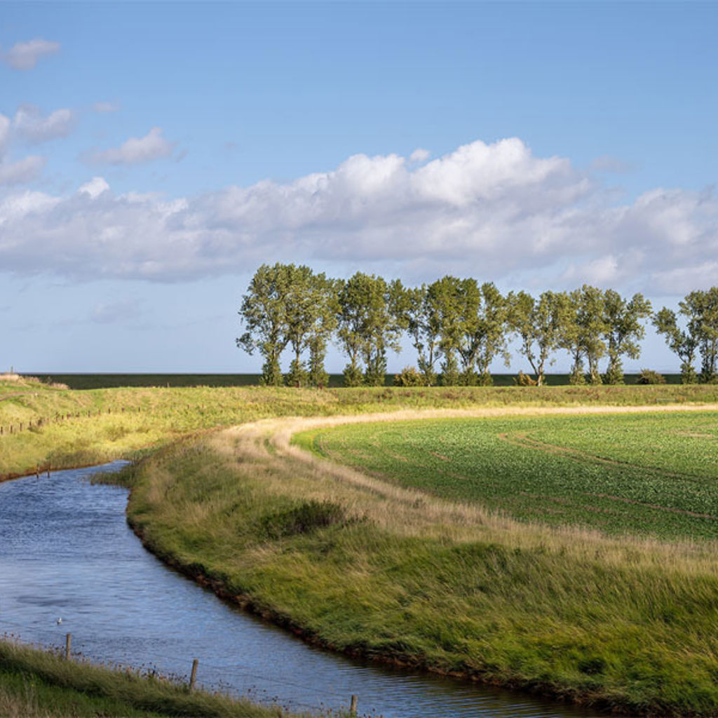 A river running through a grassy area.