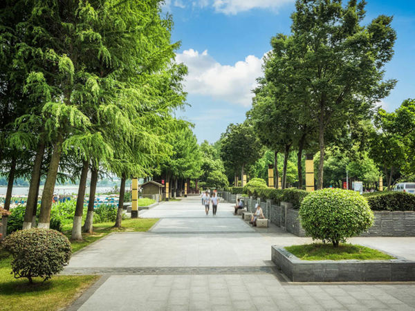 A walkway with trees and bushes.