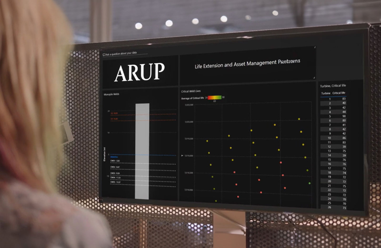 A person using Arup software on a computer