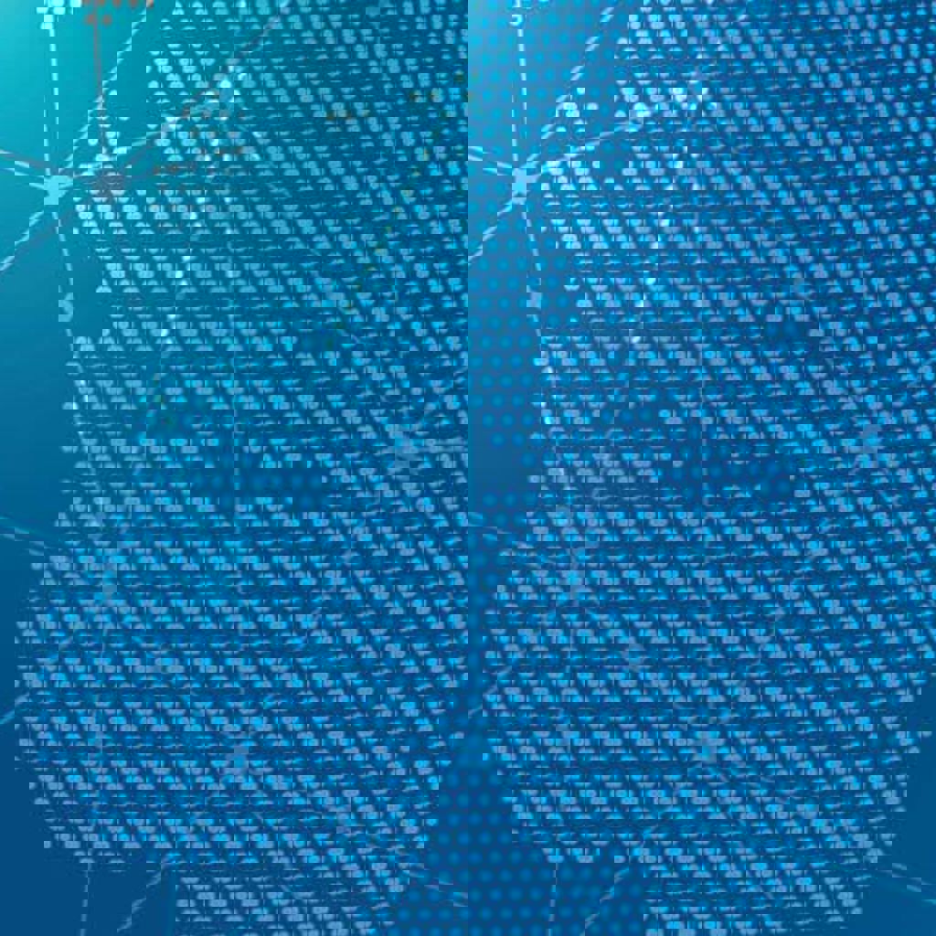 Whole life cabron assessments case study