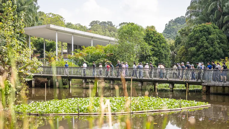 A group of people walking on a bridge over a pond.