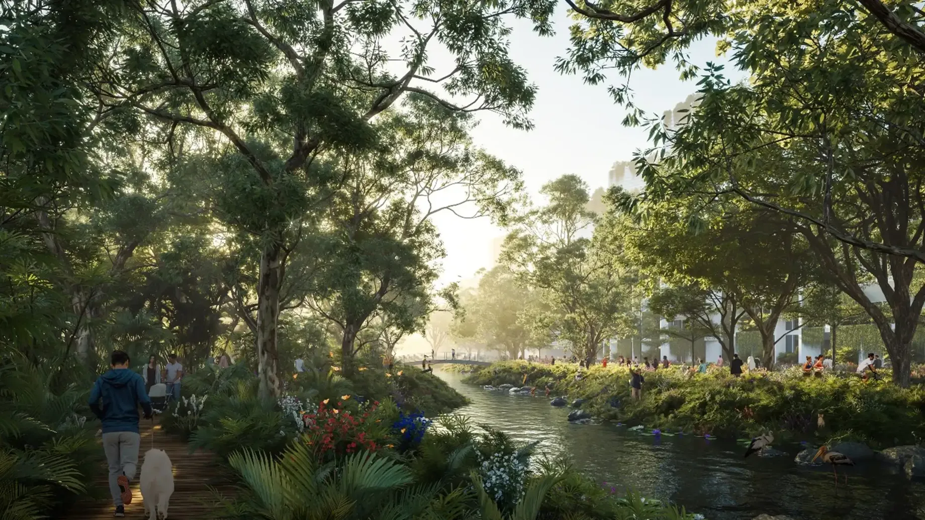 Artist impression of forest with river and walking tracks near a city with people enjoying the space