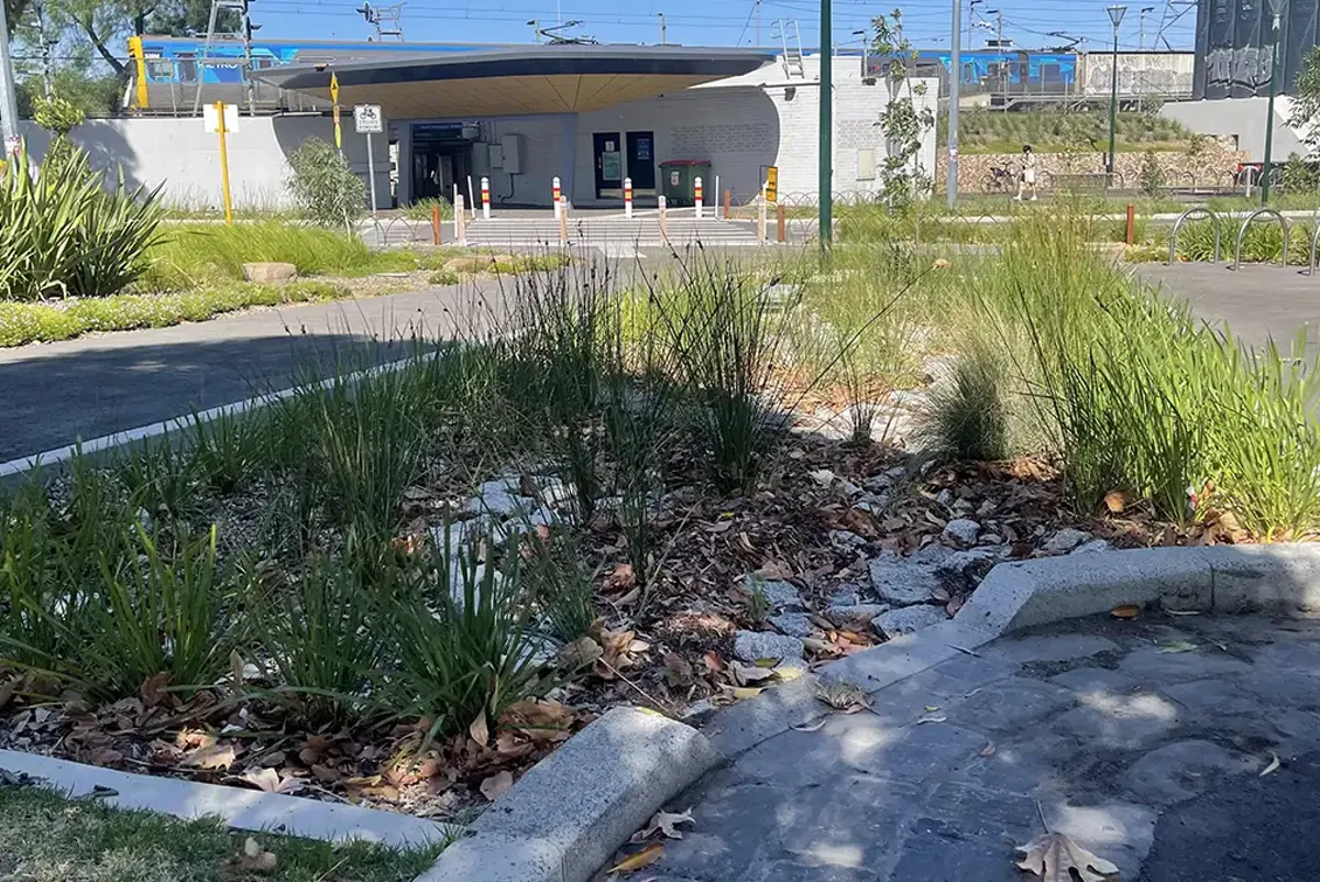 Streetscape design of ground garden with open curb section, plantings, drainage and pebbles