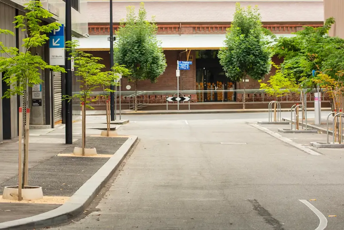 A Melbourne street with small trees planted along curb